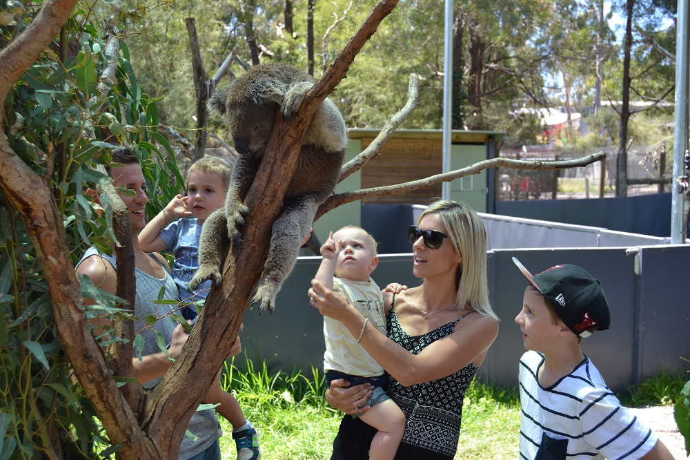 Healesville Sanctuary