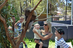 Healesville Sanctuary