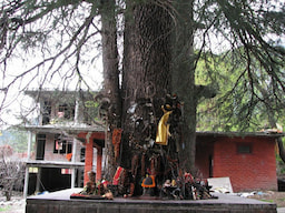 Hidimba Devi Temple