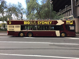 Sydney Hop and Hop Off Bus Tour 1