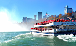 Horn blower Cruise
