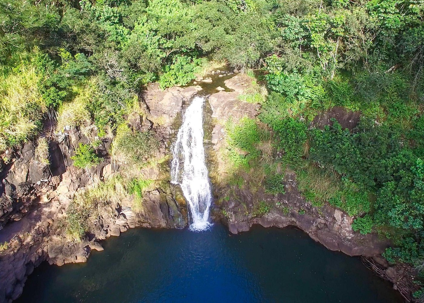 Island Tour with Waimea Waterfall
