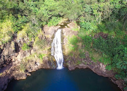 Island Tour with Waimea Waterfall