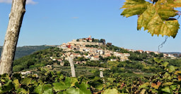 Day Trips Istria