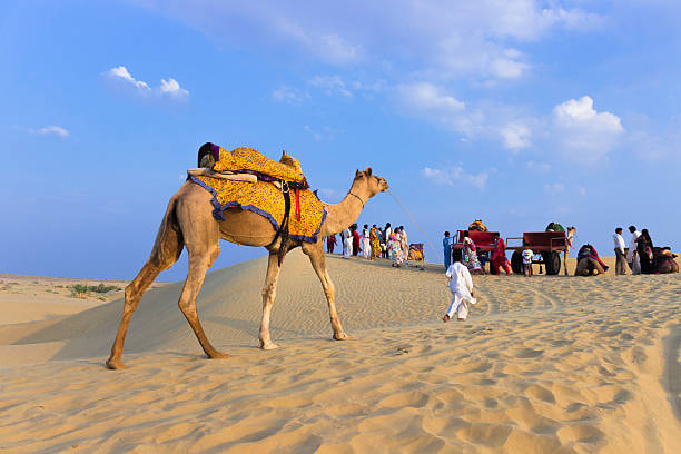 Camel Ride