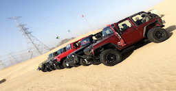 Desert Safari
