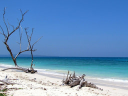 Kala Pathar Beach
