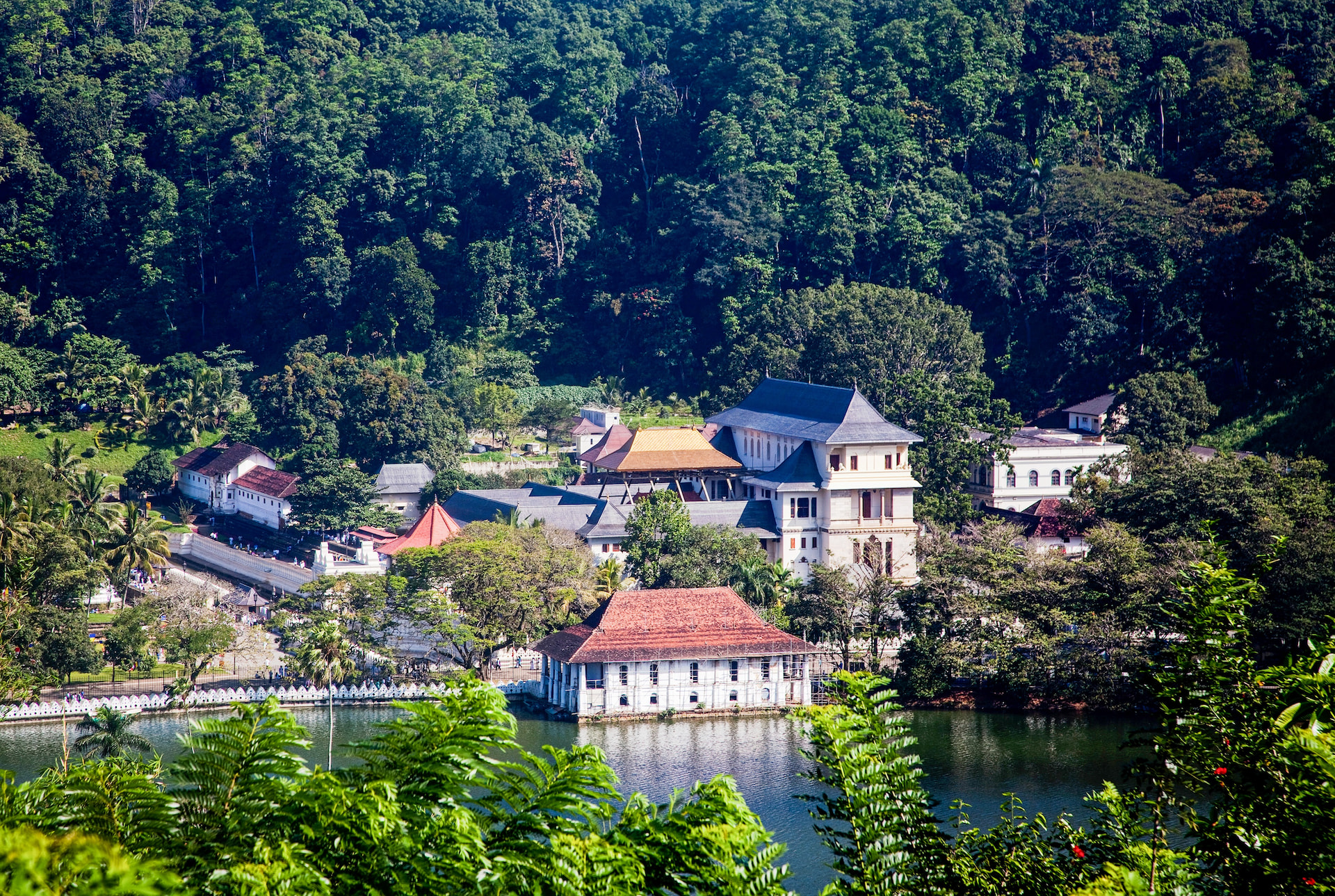 Kandy 1