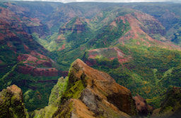 Kauai Waimea Canyon Tour