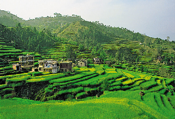 Kausani City Tour