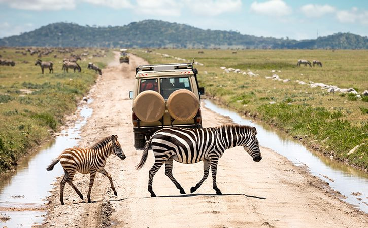 Lake Manyara National Park
