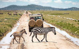 Lake Manyara National Park