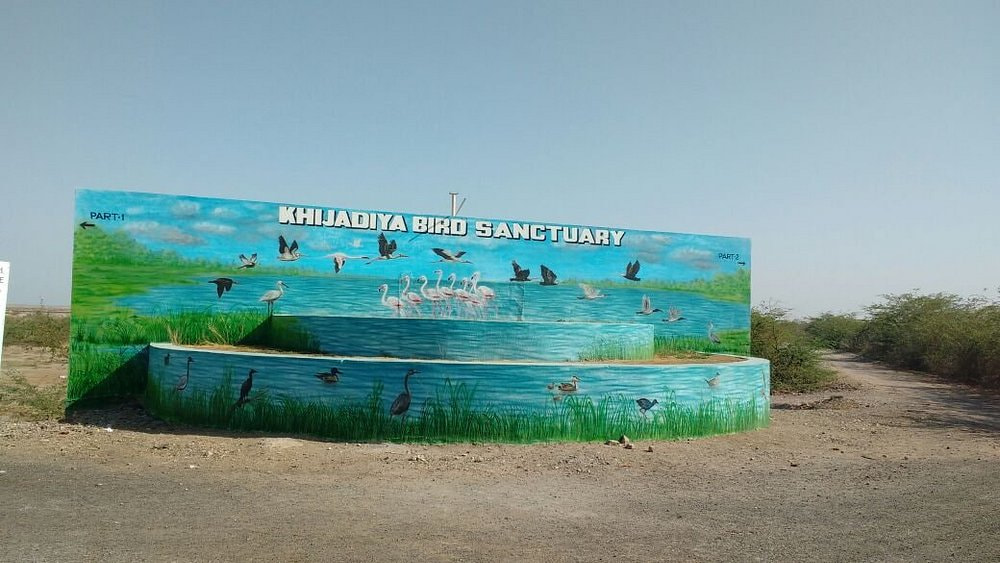 Khijadiya Bird Sanctuary