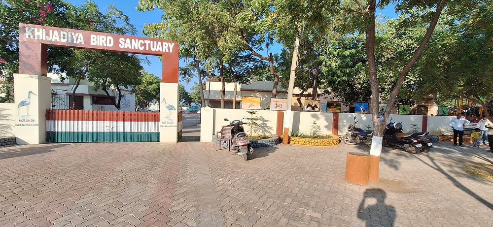 Khijadiya Bird Sanctuary
