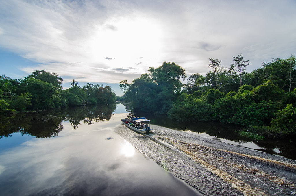Klias Wetland and River Cruise
