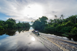 Klias Wetland and River Cruise