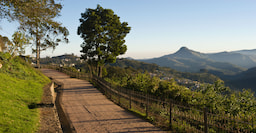 Coakers Walk