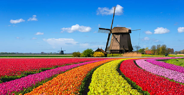  Keukenhof Gardens 