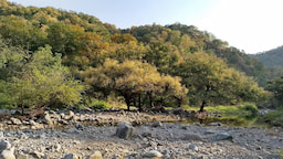 Kumbhalgarh Wildlife Sanctuary