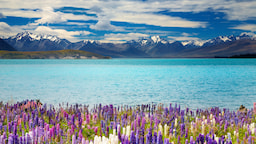 Lake Tekapo