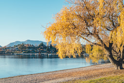 Lake Wanaka 1