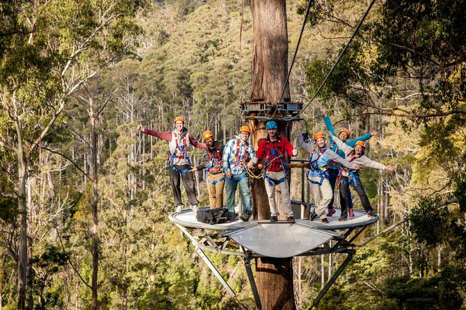 Zipline in Launceston
