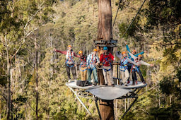 Zipline in Launceston