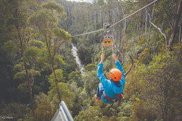 Zipline in Launceston