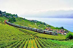 Lavaux Express