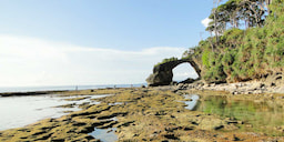 Laxmanpur Beach