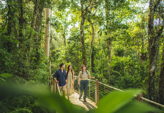 Day Kuranda tour