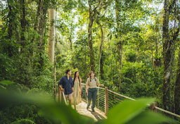 Day Kuranda tour
