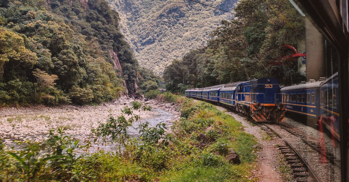 Machu Picchu Train