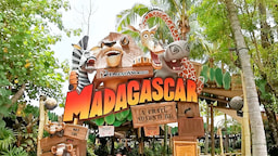 Madagascar Land Universal Studios 