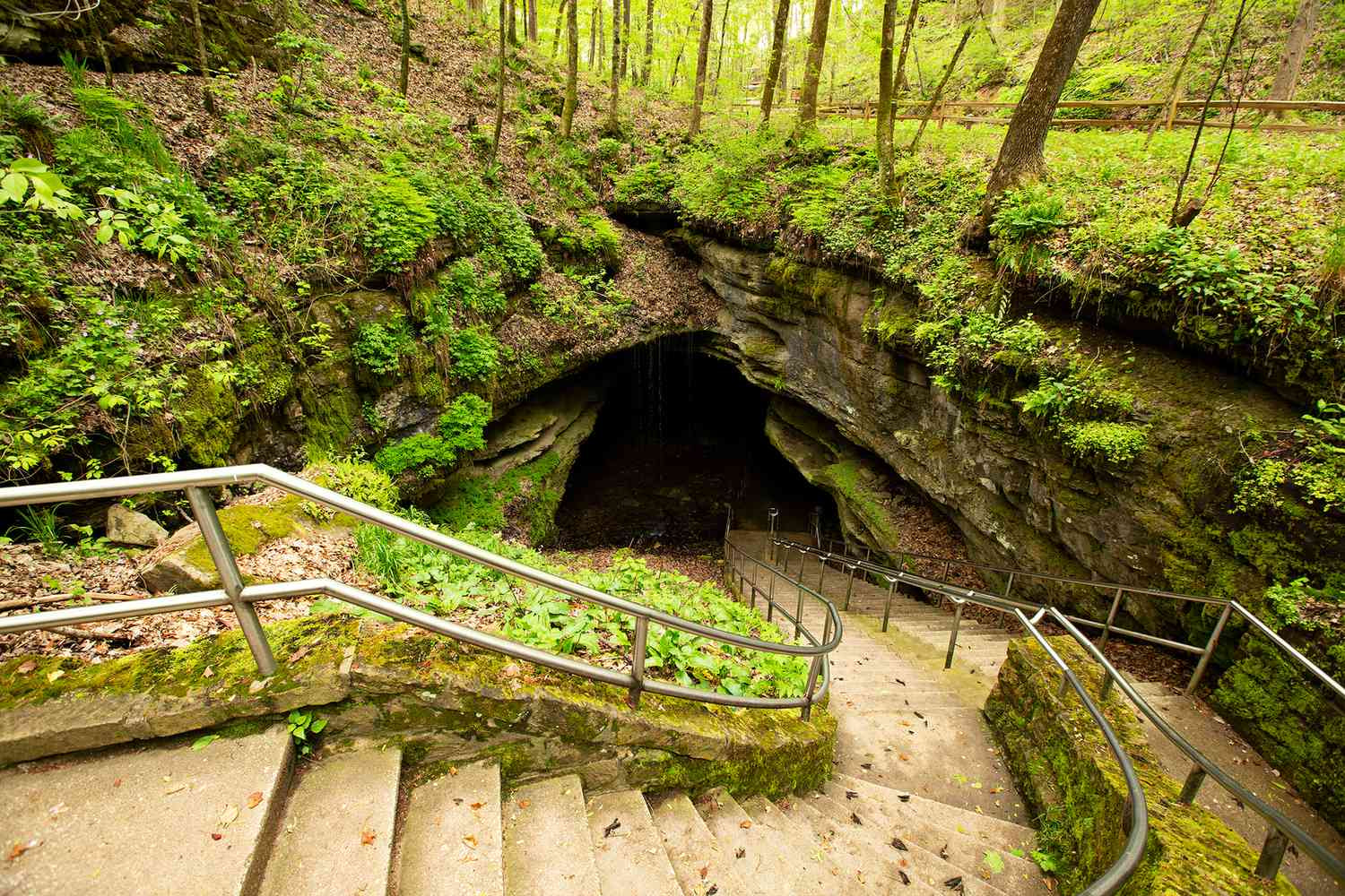 Mammoth Caves