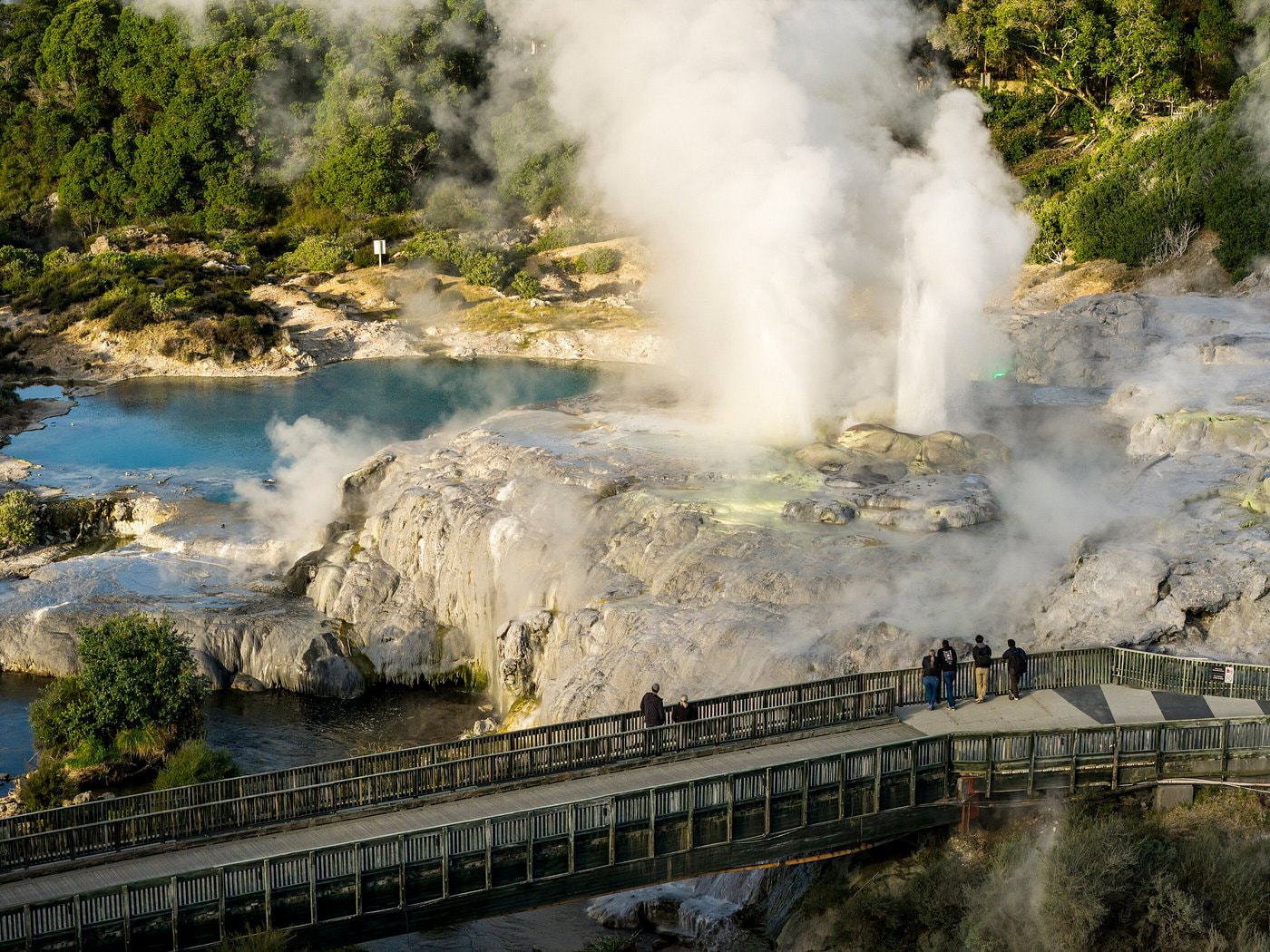 Te Puia Thermal Reserve
