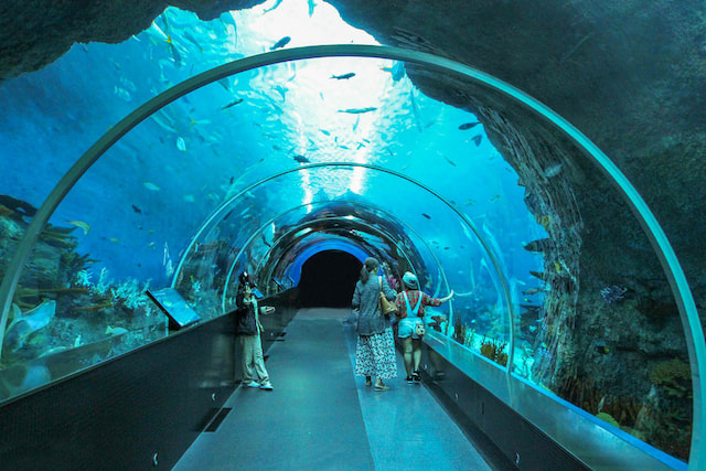 marine sea aquarium 2