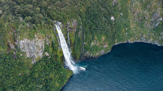 milford sound cruise image