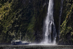 Milford Sound Cruise