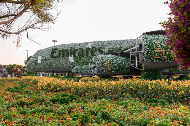 Miracle Garden