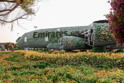 Miracle Garden