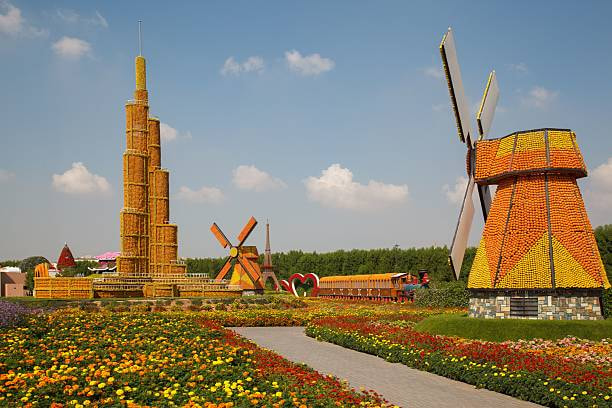 Miracle Garden
