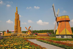 Miracle Garden