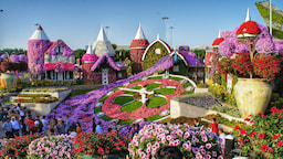 Miracle Garden 