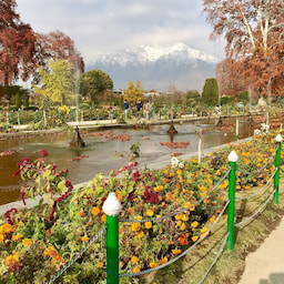 Mughal Garden 