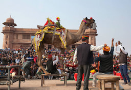 National Research Centre on Camel