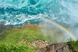 Journey Behind The Falls 2