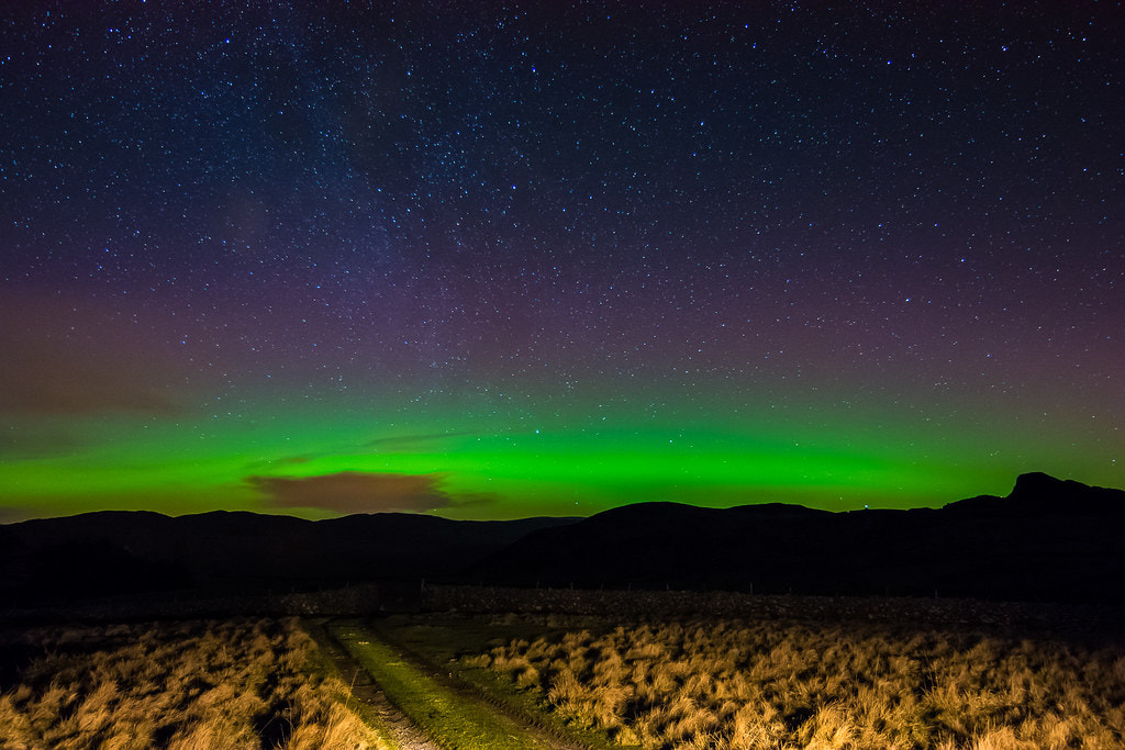 Northern Lights  