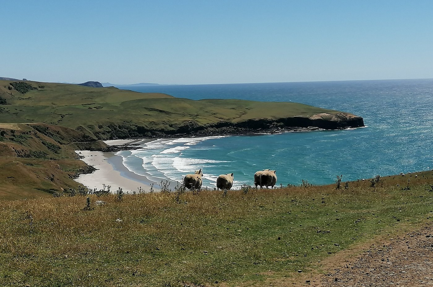 Otago Peninsula