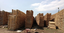  Bat Factory